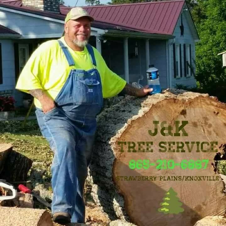 J & K Tree Service  logo